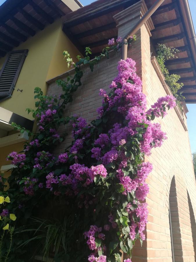 Casolare Isabella "Il Rifugio Dei Vinili" And Alice'S Room ポンサッコ エクステリア 写真